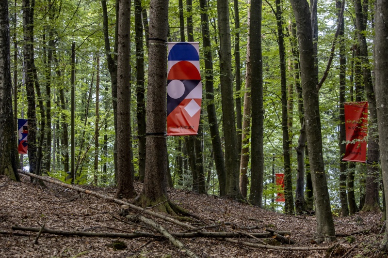 Foto: Gerhard Maurer