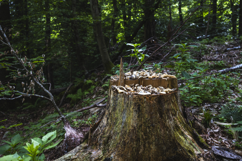Foto: Philipp Schulz - boxquadrat