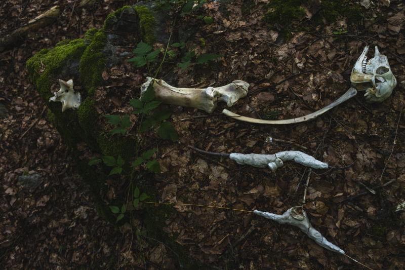 Foto: Philipp Schulz - boxquadrat
